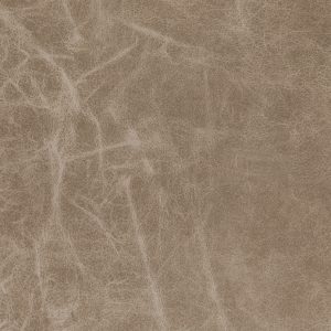 Antigua Silvestone 01